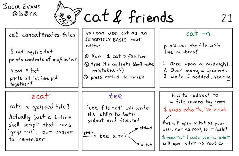 Julia Evans comic about cat